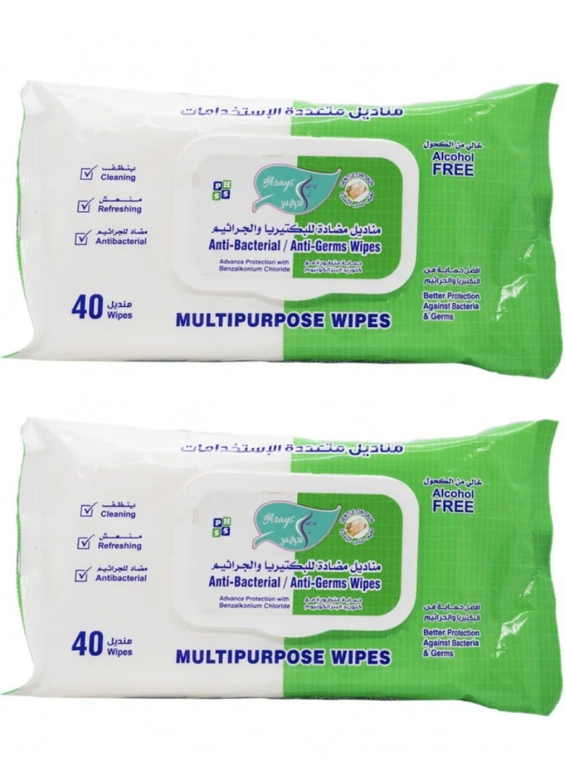 Alarays Two Pieces of Anti Bacterial and Anti Germs Wipes 40 wipes  - Image 3