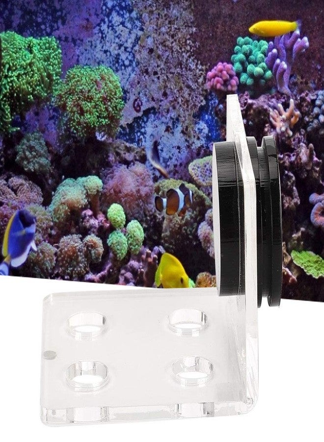 Zerodis Fish Acrylic Bracket Base, Aquarium Rack Bracket Transparent Bracket Holder Frag Plugs Rack Suction Cup(4Holes) - Image 3