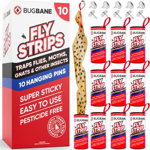 BugBane Fly Strips Indoor Sticky Hanging 10pk with Pins. Non Toxic Outdoor Fly Trap Indoor for Home. Flies Tape Paper Trap Ribbon Roll for House Gnat Fruit and Housefly. Bug Catchers for Inside Home Flypaper - Image 1