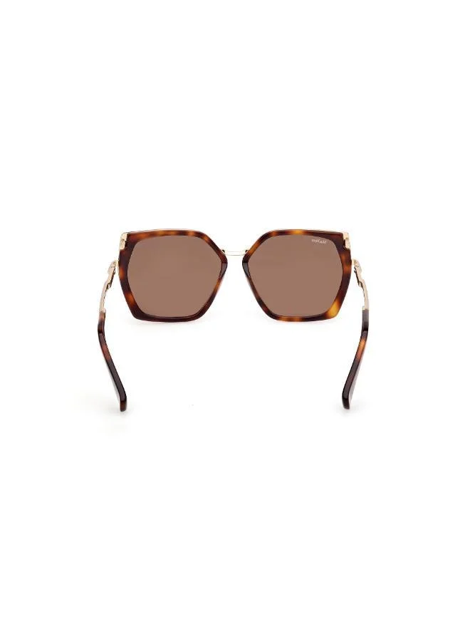 MaxMara Oversized Sunglasses