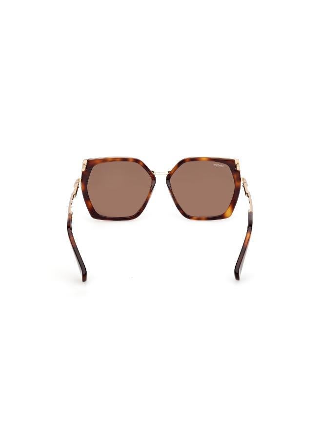 MaxMara Oversized Sunglasses - Image 2