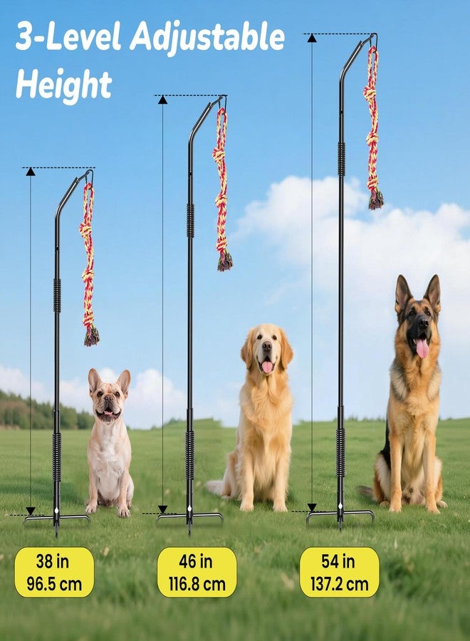BUFOR 360° Rotation Tether Outdoor Dog Rope Toy, Exercise Tug Of War Dog Toy in Yard/Park/Lawn, Dog Training 3 Rope Toys, 2 Strengthen Spring Poles, Self Play and Interactive Toy for Large Medium Small Dog - Image 3