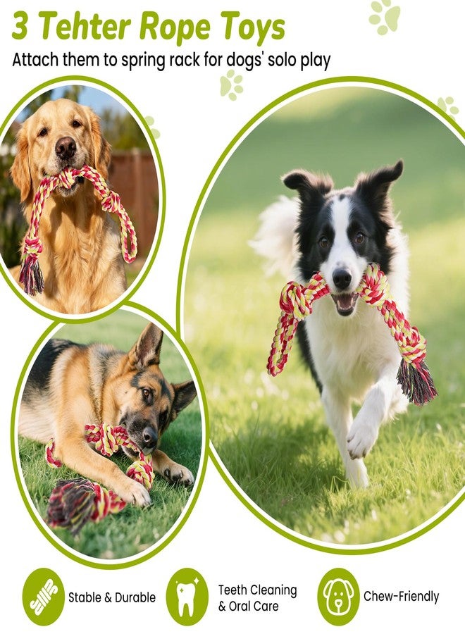 BUFOR 360° Rotation Tether Outdoor Dog Rope Toy, Exercise Tug Of War Dog Toy in Yard/Park/Lawn, Dog Training 3 Rope Toys, 2 Strengthen Spring Poles, Self Play and Interactive Toy for Large Medium Small Dog - Image 4