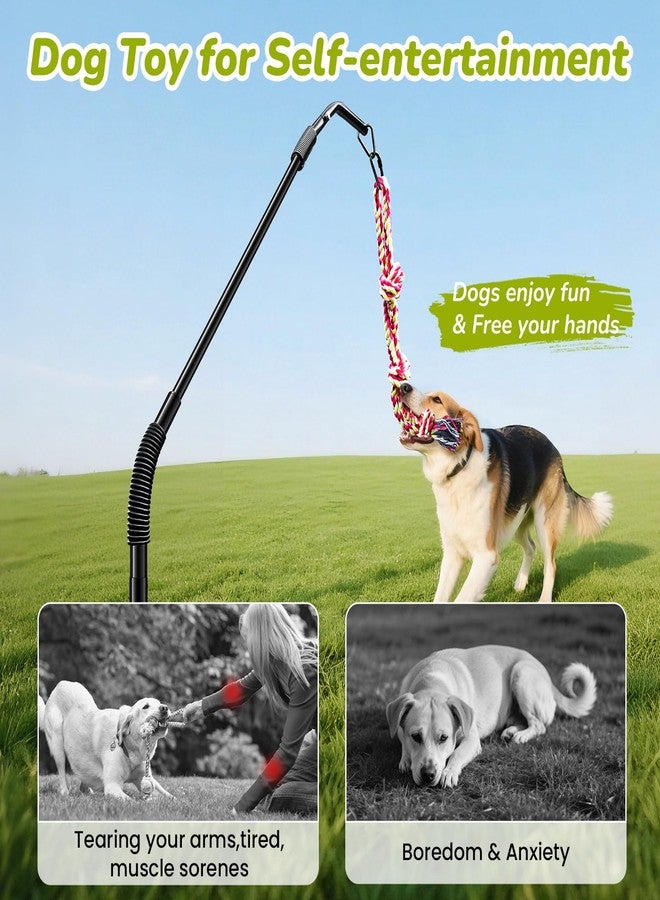 BUFOR 360° Rotation Tether Outdoor Dog Rope Toy, Exercise Tug Of War Dog Toy in Yard/Park/Lawn, Dog Training 3 Rope Toys, 2 Strengthen Spring Poles, Self Play and Interactive Toy for Large Medium Small Dog - Image 5