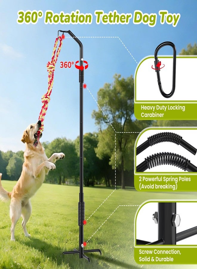 BUFOR 360° Rotation Tether Outdoor Dog Rope Toy, Exercise Tug Of War Dog Toy in Yard/Park/Lawn, Dog Training 3 Rope Toys, 2 Strengthen Spring Poles, Self Play and Interactive Toy for Large Medium Small Dog - Image 2