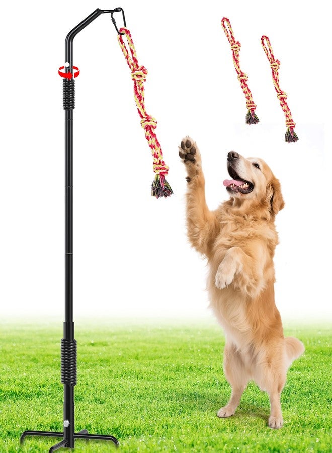BUFOR 360° Rotation Tether Outdoor Dog Rope Toy, Exercise Tug Of War Dog Toy in Yard/Park/Lawn, Dog Training 3 Rope Toys, 2 Strengthen Spring Poles, Self Play and Interactive Toy for Large Medium Small Dog - Image 1
