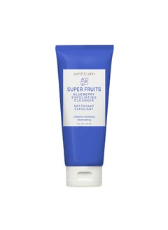 earth to skin Super Fruits Blueberry Exfoliating Cleanser Earth To Skin 50 Fl Oz 