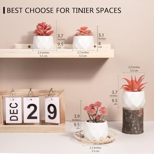VIVERIE Mini Succulents Plants Artificial in Pots-Rose Pink, Christmas Small Fake Succulents Plants for Home Halloween Decor Indoor for Women, White Ceramic, Set of 4, Gifts for Mom - Image 2