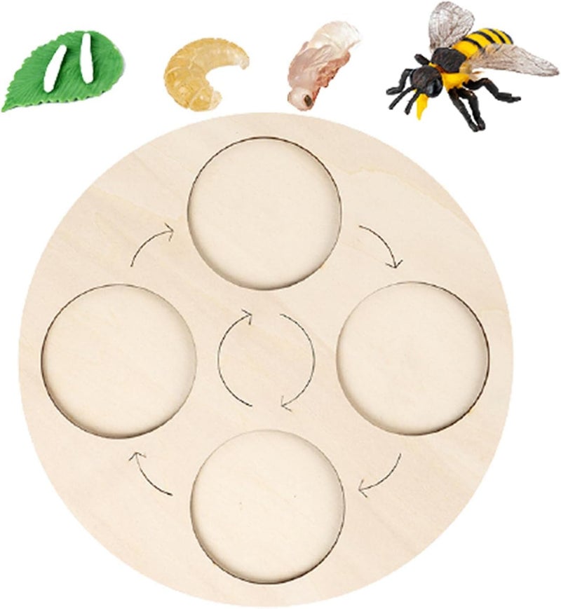 klarako Wooden Life Cycle Board Early #Educational Animals Learning for Preschool Children  Bee - Image 1