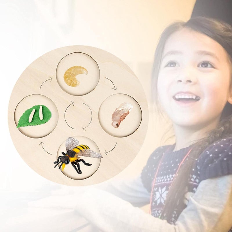 klarako Wooden Life Cycle Board Early #Educational Animals Learning for Preschool Children  Bee - Image 4