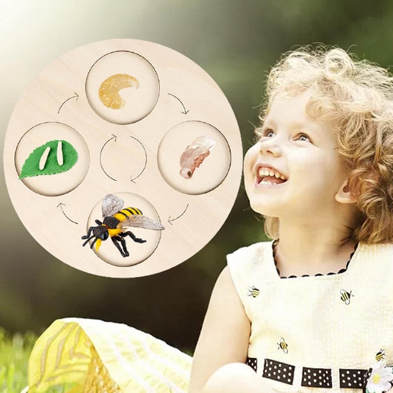klarako Wooden Life Cycle Board Early #Educational Animals Learning for Preschool Children  Bee - Image 2