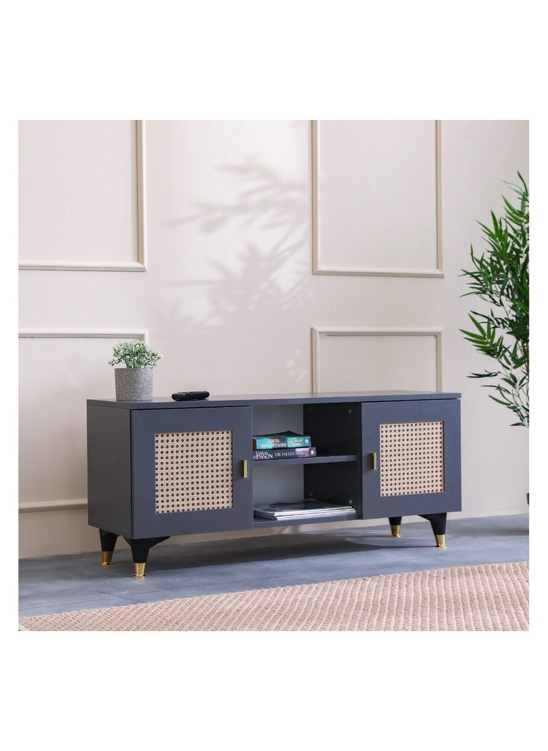 DANUBE HOME Erva TV Cabinet For Up To 55 Inches TV Multifunctional Home Theater TV Rack Grey 120x37x40 cm  - Image 2