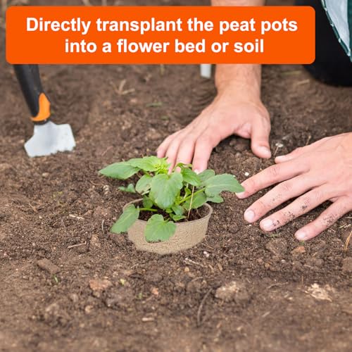 JNYONG 60 Packs 3.15 Inch Peat Pots,Biodegradable Pots for Seedlings with Drainage Holes, Garden Germination Nursery Pots with 50Pcs Plant Labels - Image 5