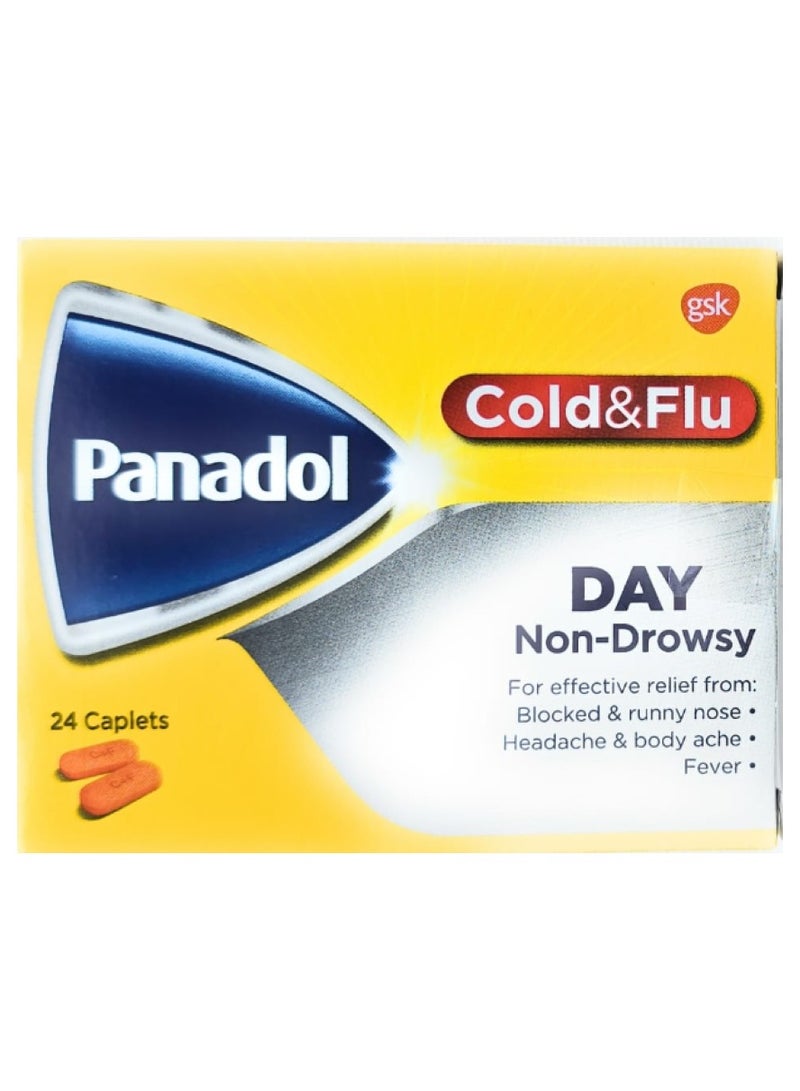 Panadol Panadol Cold and Flu DAY 24's 