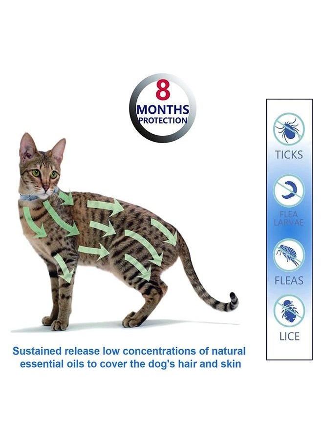 Flea and Tick Collar for Dogs Flea and Tick Treatment and Prevention for Dogs/Cats up to 8 Month One Size Fits All 100% Natural Ingredients