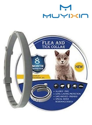 Flea and Tick Collar for Dogs Flea and Tick Treatment and Prevention for Dogs/Cats up to 8 Month One Size Fits All 100% Natural Ingredients - pzsku/Z85DEE4CCE7AEAB6B2DD4Z/45/_/1693968365/2dc686b3-6355-4b40-b32e-aa051c5fdb6e