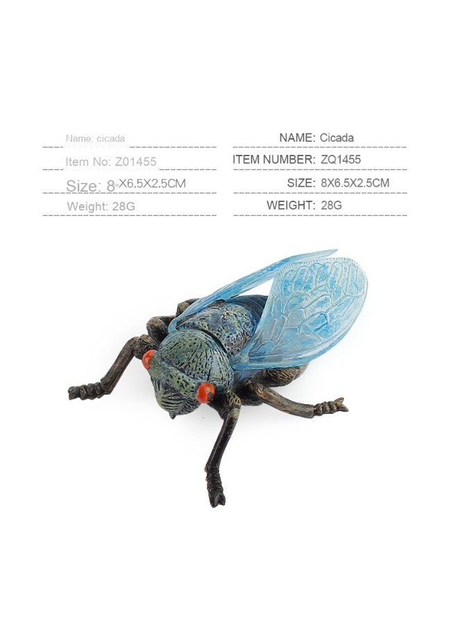 NIBEMINENT Children's Educational Cognitive Model Toy - Simulation Insect Cicada