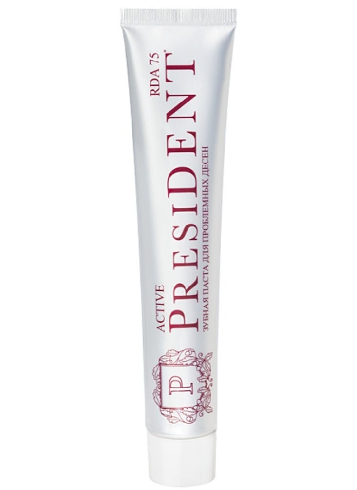 President - President Active Toothpaste 75ml - Comprehensive Teeth and Gum Protection with Long-Lasting Freshness - Image 1
