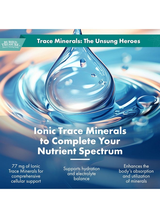 Buried Treasure Zinc Complex Drops - 30 Servings, 2 fl oz, Efficient and Bioavailable Ionic Zinc Supplement - Image 4
