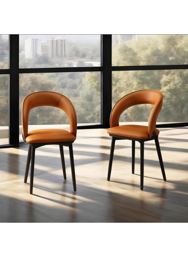 HXDream Dining Chairs Set of 2,Kitchen Chairs,Living room chairs,Armchair,Modern Accent Chair for dining room, living room, kitchen and outdoor areas - Image 1