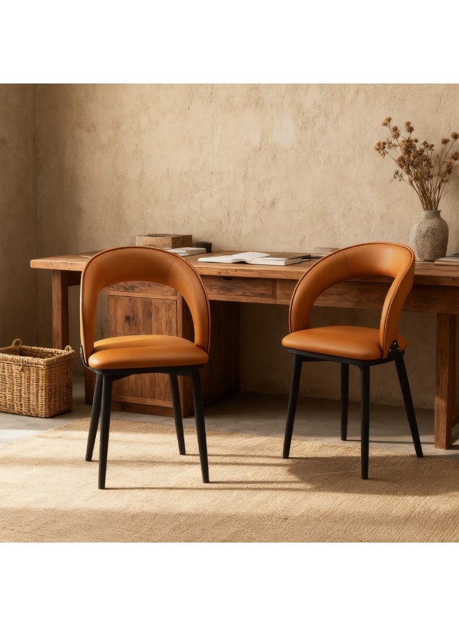 HXDream Dining Chairs Set of 2,Kitchen Chairs,Living room chairs,Armchair,Modern Accent Chair for dining room, living room, kitchen and outdoor areas - Image 2