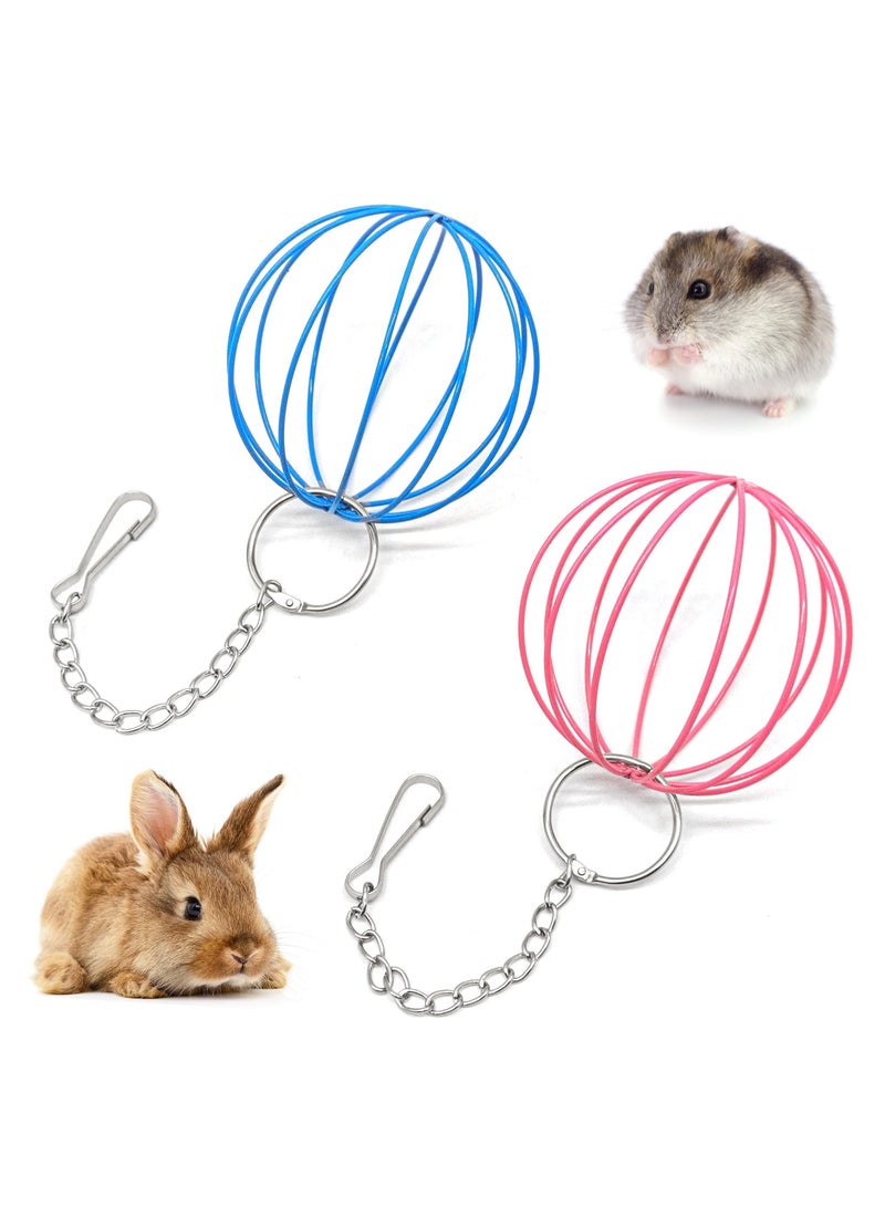 الأزرق جي دبليو Rabbit Hay Feeder Ball 2PCS Bunny Grass Sphere Play Chew Toy 2 in 1Hay Manger Dispenser Small Animals for Chinchillas Hamsters - Image 1
