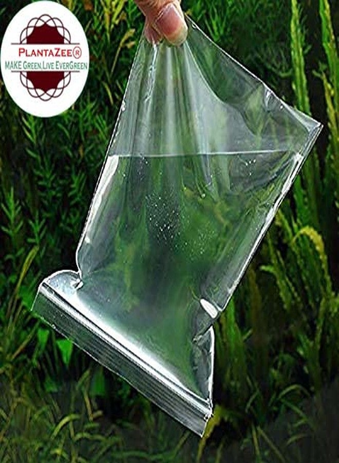 PlantaZee Zip Lock Plastic Bags Self Sealing Storage Pouch 2" X 3" inch,200 Pieces, Transparent - Image 3