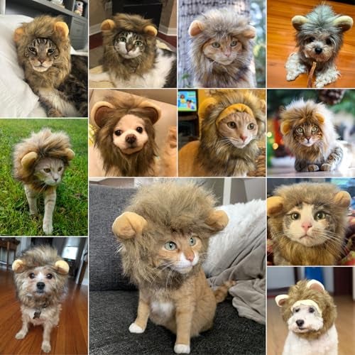 PETLESO Lion Hat Costume, Small, for Dogs & Cats, Lightweight, Breathable, Adjustable, Perfect Halloween Surprise & Gift, Hand Wash Only - Image 5