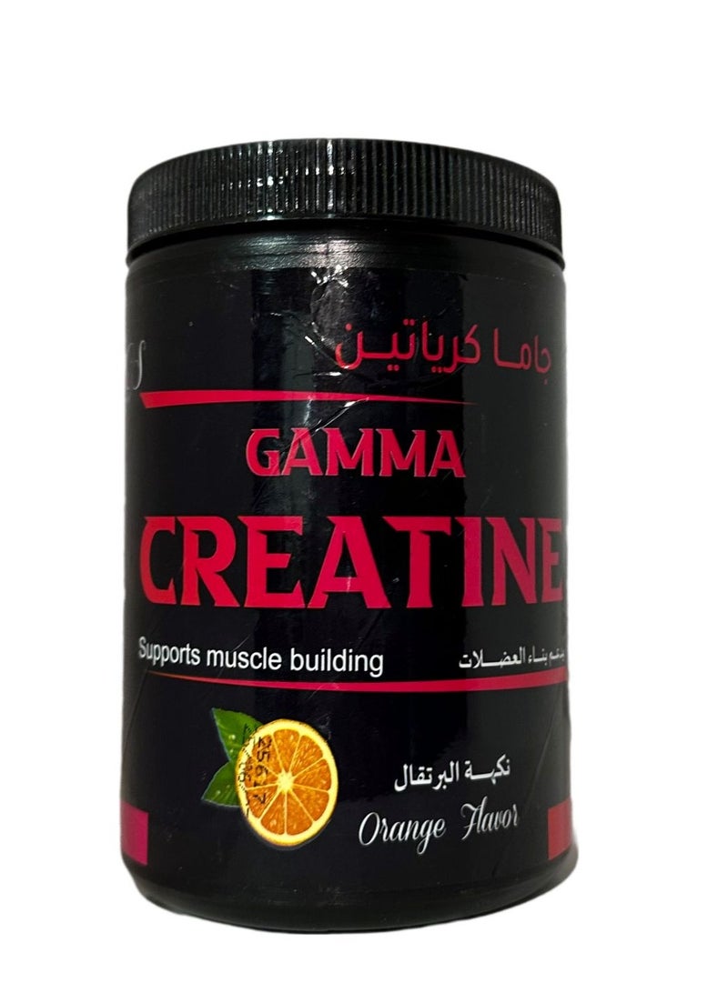 Gamma Creatine monohydrate 300 gm 60 serve - Image 1