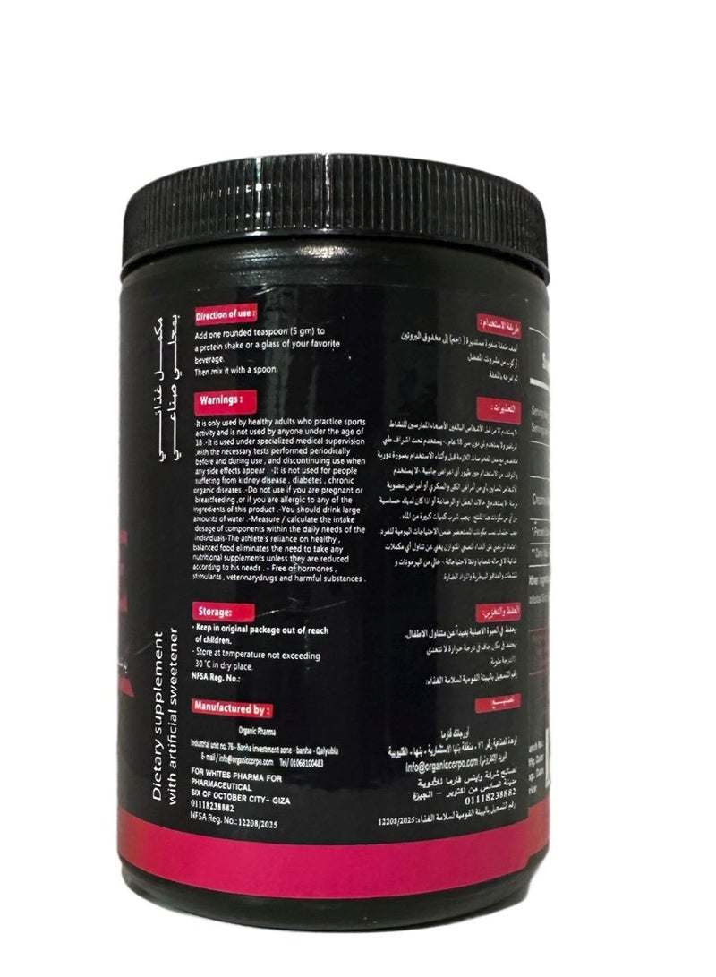 Gamma Creatine monohydrate 300 gm 60 serve - Image 4