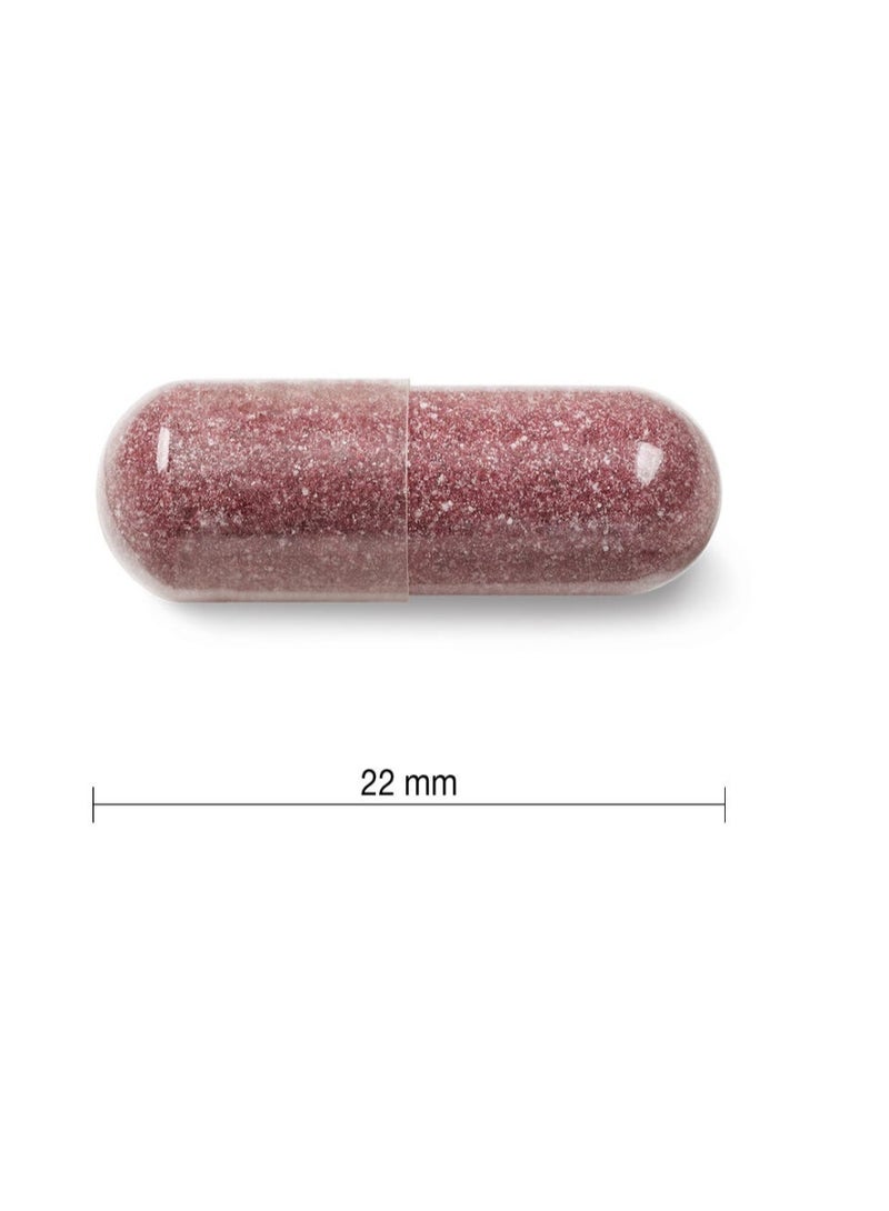 جاميسون كرانبيري بلس 500 مجم 60 كبسولة - Image 3