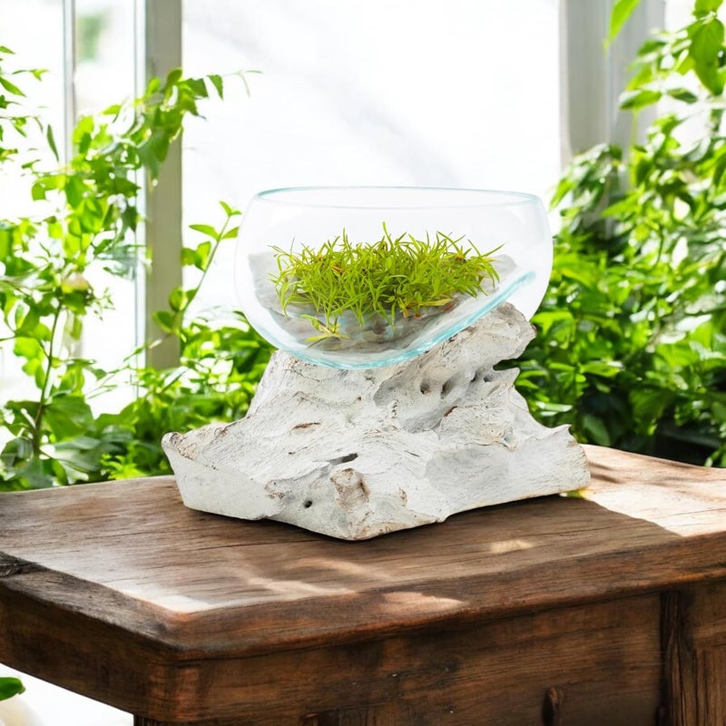 BAGUS HOME DECOR BAGUS HOME DECOR Handcrafted Glass Bowl on Driftwood Unique Decorative Glass Bowl for Table Centerpieces Medium - Image 5