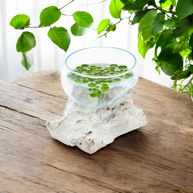 BAGUS HOME DECOR BAGUS HOME DECOR Handcrafted Glass Bowl on Driftwood Unique Decorative Glass Bowl for Table Centerpieces Medium - Image 3