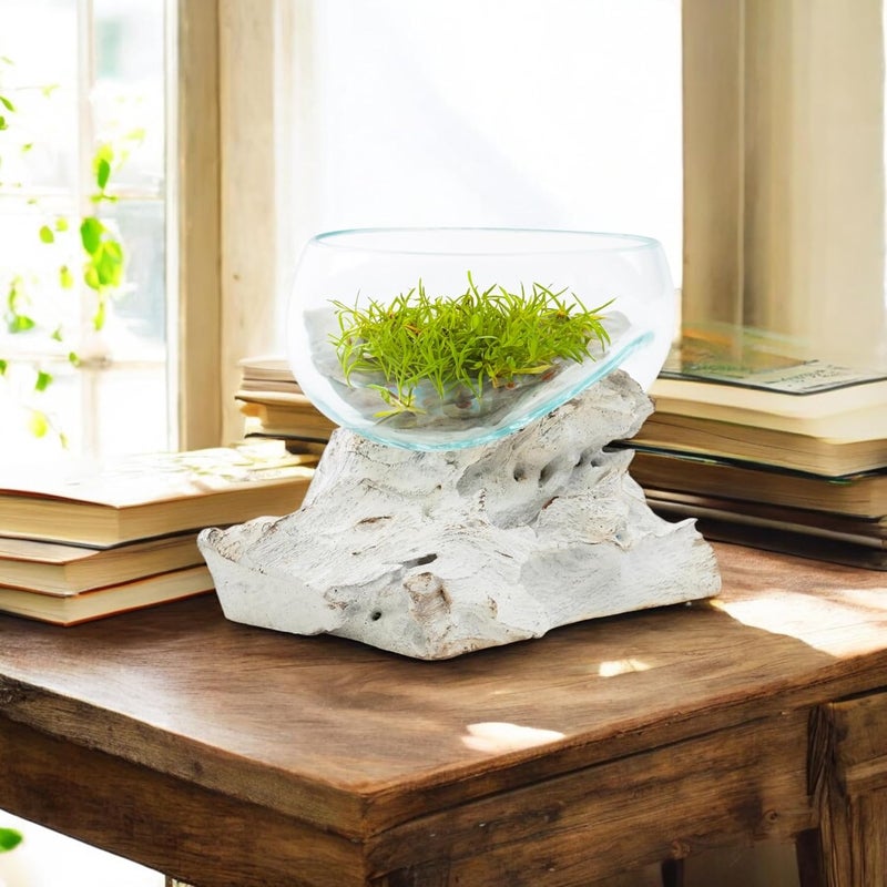 BAGUS HOME DECOR BAGUS HOME DECOR Handcrafted Glass Bowl on Driftwood Unique Decorative Glass Bowl for Table Centerpieces Medium - Image 4