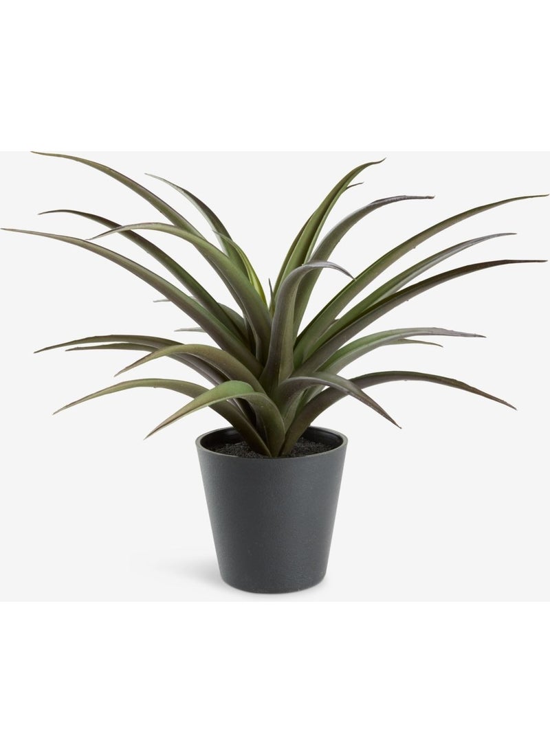 Artificial Plant Freidig Ø36XY32CM Potted - pzsku/Z85E3710D5BF3BF12775CZ/45/_/1737014888/4845e210-c9bd-47fe-9268-bdced4f8f37d