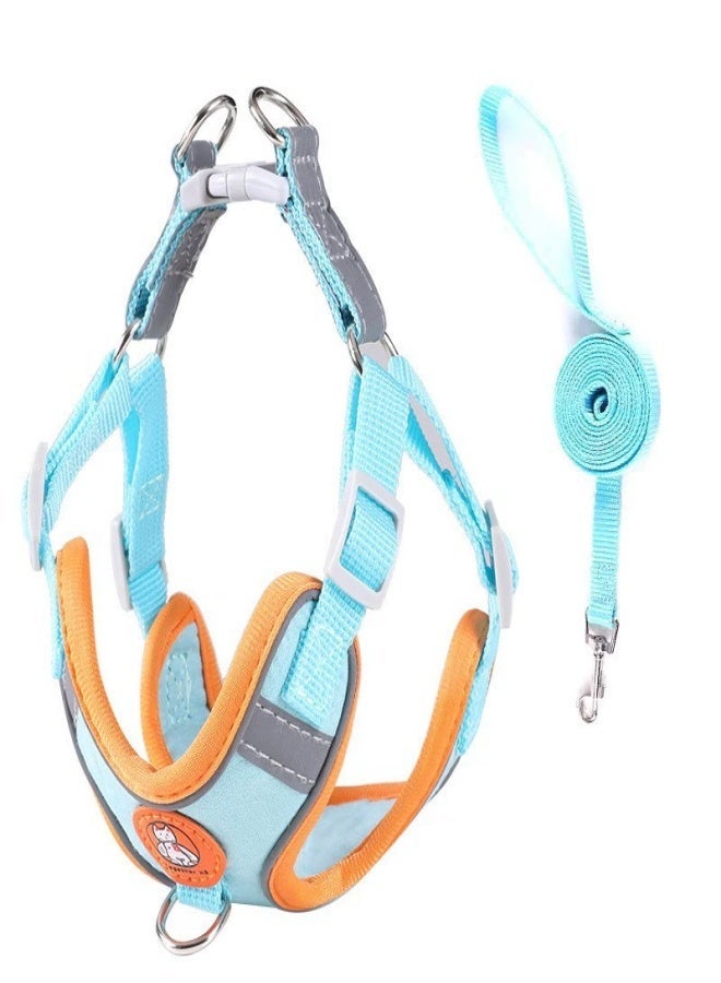 Light Blue Vest-Style Dog Harness with Leash – Adjustable Chest Strap, Durable Walking Lead for Safe Outings - Image 1