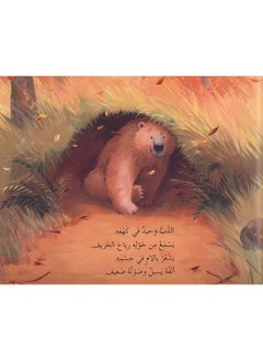 Lebanon Library الدب المريض  - Image 3