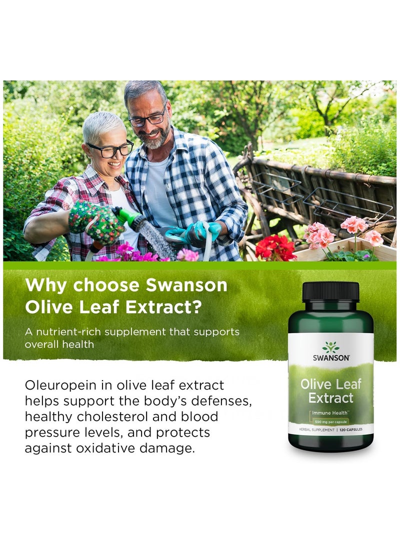 Swanson Olive Leaf Extract 500 mg 120 Capsules - Image 5