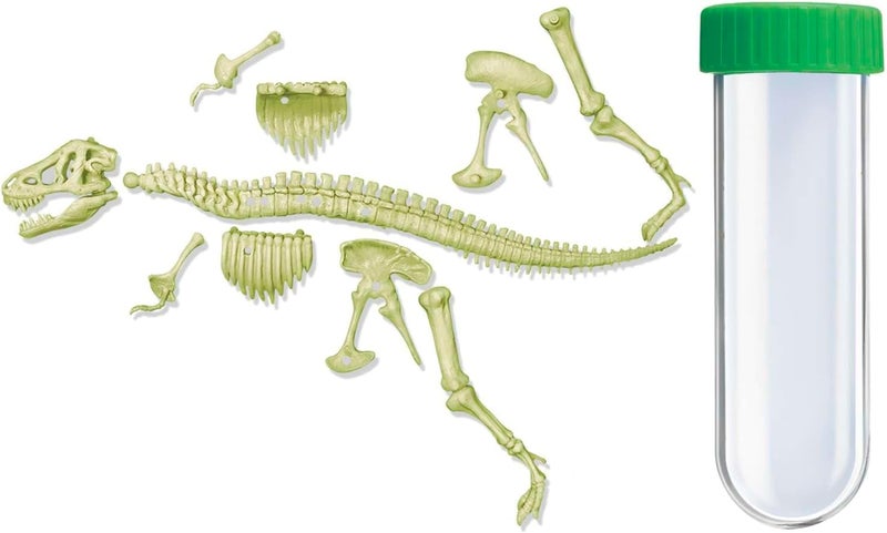 4M KidzLabs Glow T-Rex Skeleton – 3D Glow-in-the-Dark Dinosaur Model for Kids Ages 8+ - Image 1