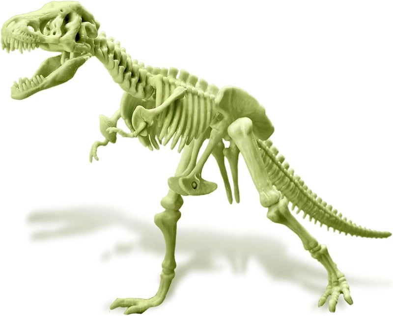 4M KidzLabs Glow T-Rex Skeleton – 3D Glow-in-the-Dark Dinosaur Model for Kids Ages 8+ - Image 3
