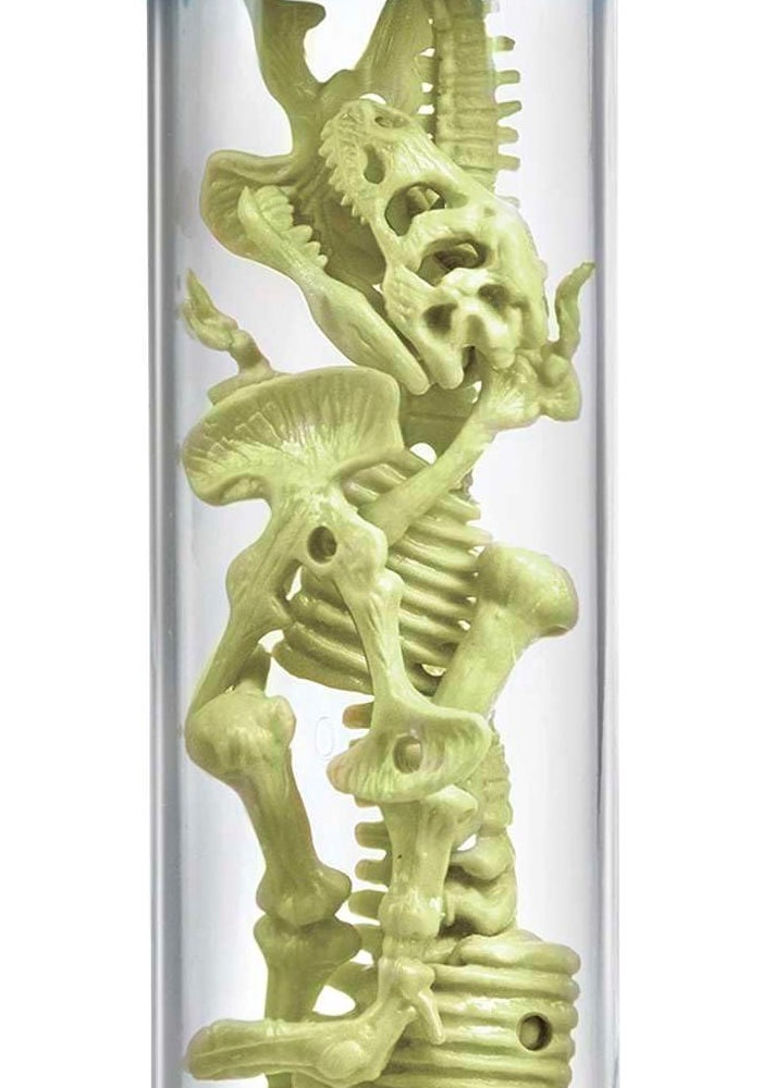 4M KidzLabs Glow T-Rex Skeleton – 3D Glow-in-the-Dark Dinosaur Model for Kids Ages 8+ - Image 2