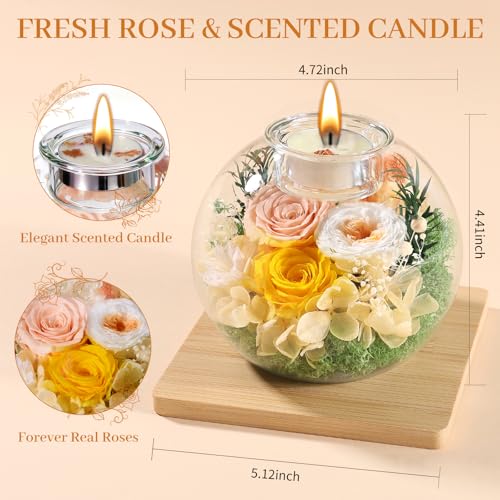 Pusuny Mothers Day Rose Gifts for Mom Birthday Gift for Women Flowers for Delivery Preserved Flowers Forever Eternal Rose in Glass Dome Mother’s Day Flower Gifts for Wife Grandma Sister Daughter, Champagne - Image 2