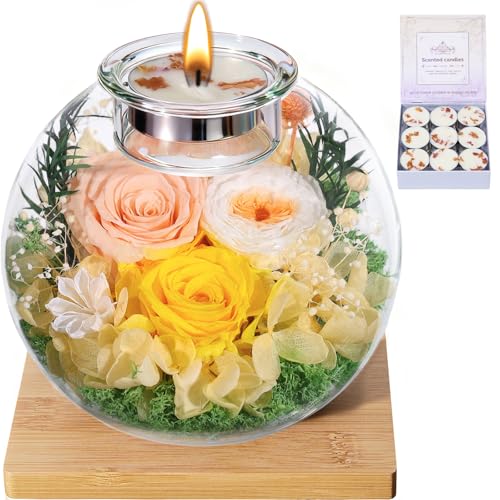 Pusuny Mothers Day Rose Gifts for Mom Birthday Gift for Women Flowers for Delivery Preserved Flowers Forever Eternal Rose in Glass Dome Mother’s Day Flower Gifts for Wife Grandma Sister Daughter, Champagne - Image 1