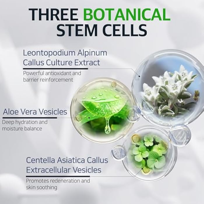 Fabyou كريم الليل ريتينول ببتيد خلايا جذعية 1.69 أونصة سائلة - خلايا جذعية نباتية لمكافحة الشيخوخة، إصلاح البشرة، تغذية، العناية بالبشرة الكورية لاستعادة الوجه أثناء الليل - Image 4