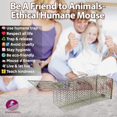 Divayanshi Heavy-Duty Rat Trap – Reusable Humane Rodent Catcher for Mice & Rats, Strong Spring Mechanism, Easy to Set & Clean, Indoor & Outdoor Use- Small (7.5 inch) - Image 3