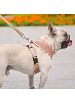 BINGPET Soft Mesh Breathable Pet Vest Harnesses, No Pull & No Choke Dog Harness, Lightweight Adjustable Vest Harness for Small and Medium Dogs  - Image 2