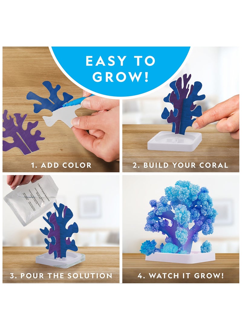 NATIONAL GEOGRAPHIC مختبر نمو المرجان الشعاعي الكريستالي - Image 5