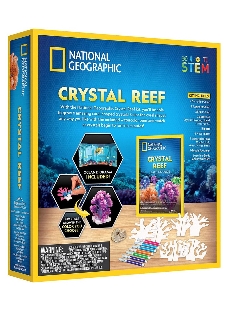 NATIONAL GEOGRAPHIC مختبر نمو المرجان الشعاعي الكريستالي - Image 3