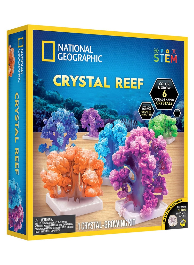 NATIONAL GEOGRAPHIC مختبر نمو المرجان الشعاعي الكريستالي - Image 1