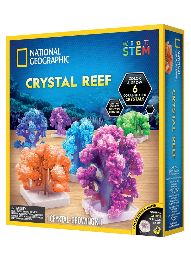 NATIONAL GEOGRAPHIC مختبر نمو المرجان الشعاعي الكريستالي - Image 2